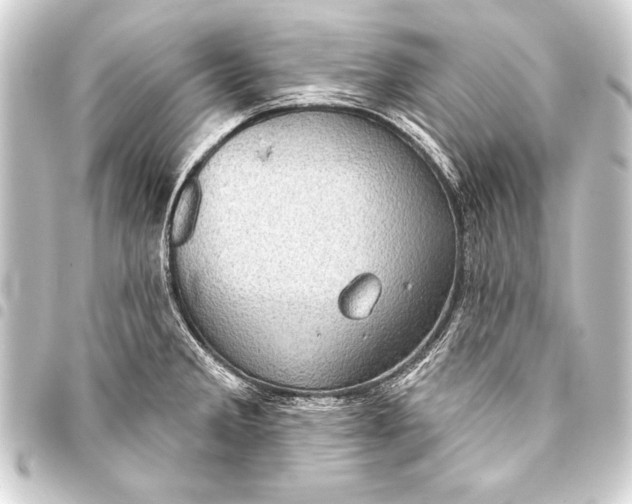 X0000093401285200711020927