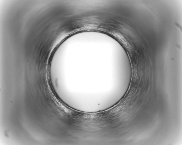 X0000093401286200711020927