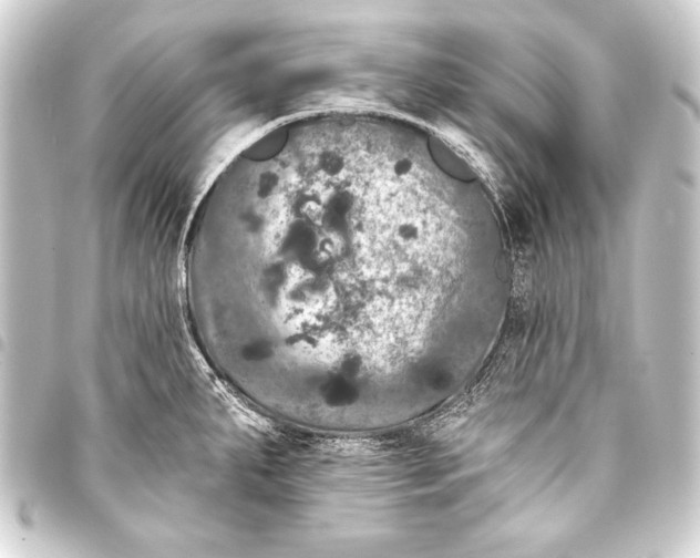 X0000093401287200711020927