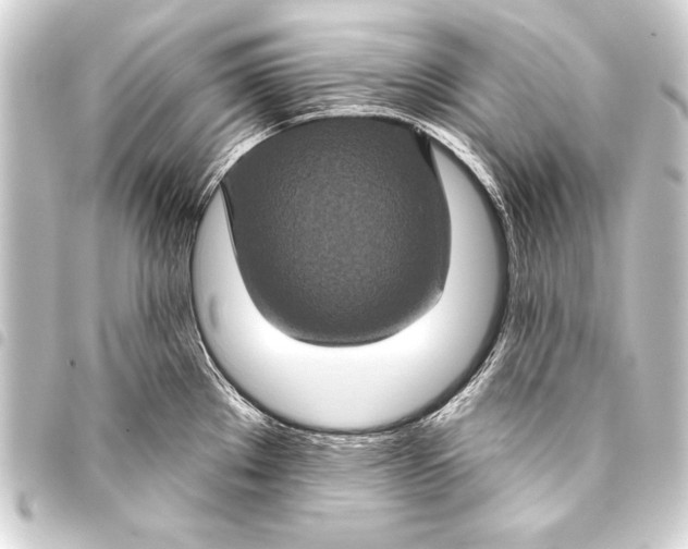 X0000093401289200711020927