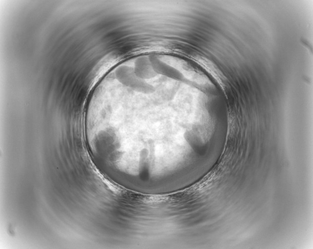 X0000093401290200711020927