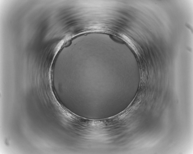 X0000093401291200711020927