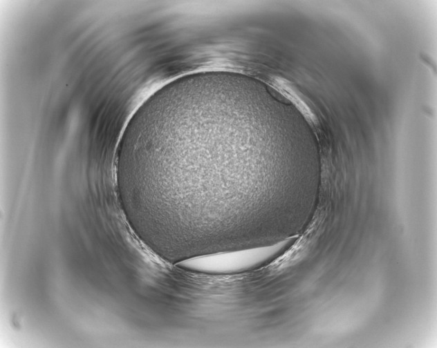 X0000093401292200711020927