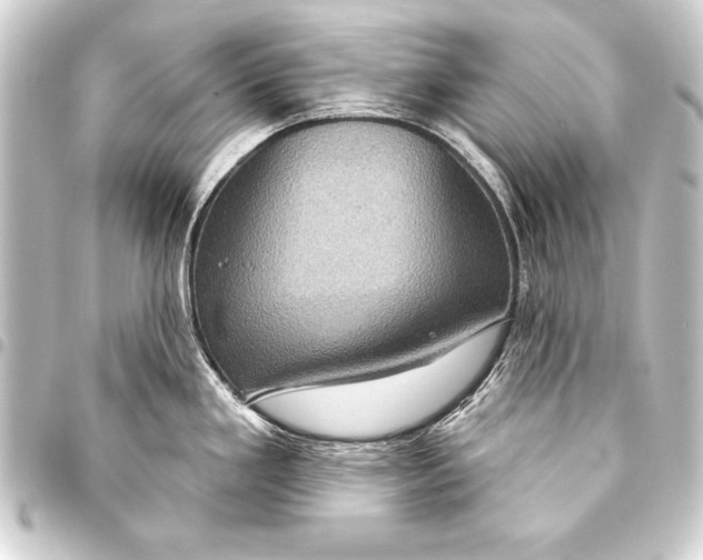 X0000093401293200711020927