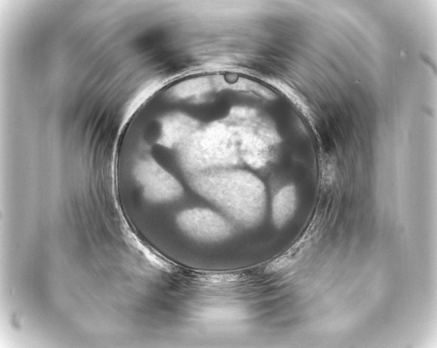 X0000093401294200711020927