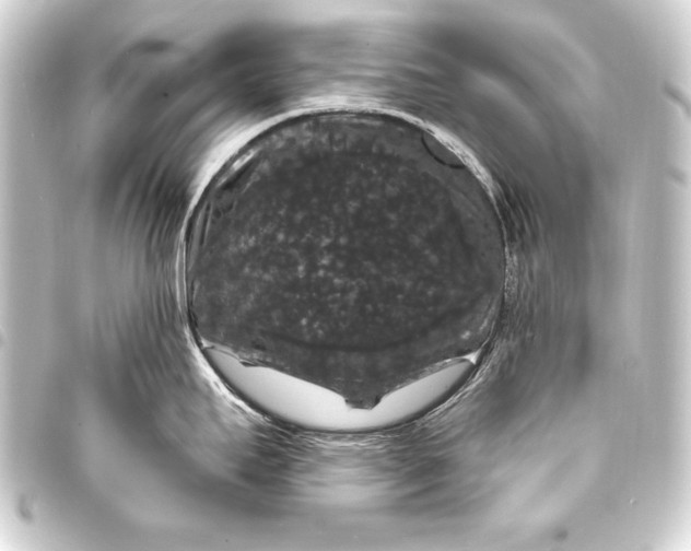 X0000093401295200711020927