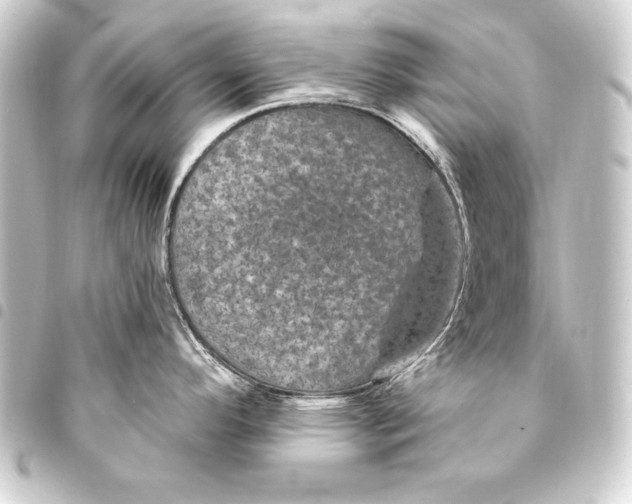 X0000093401296200711020927