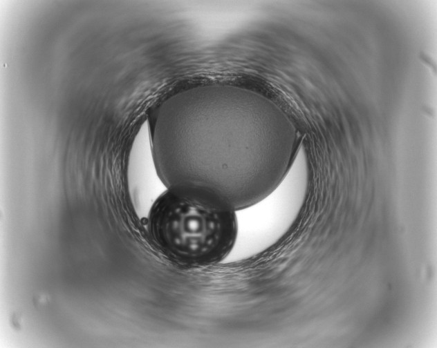 X0000093401298200711020927