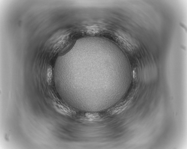 X0000093401299200711020927