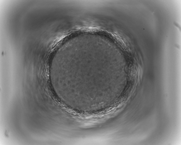 X0000093401301200711020927