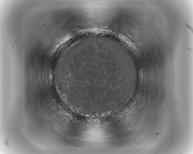 X0000093401302200711020927