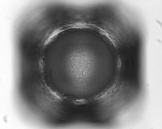 X0000093401304200711020927