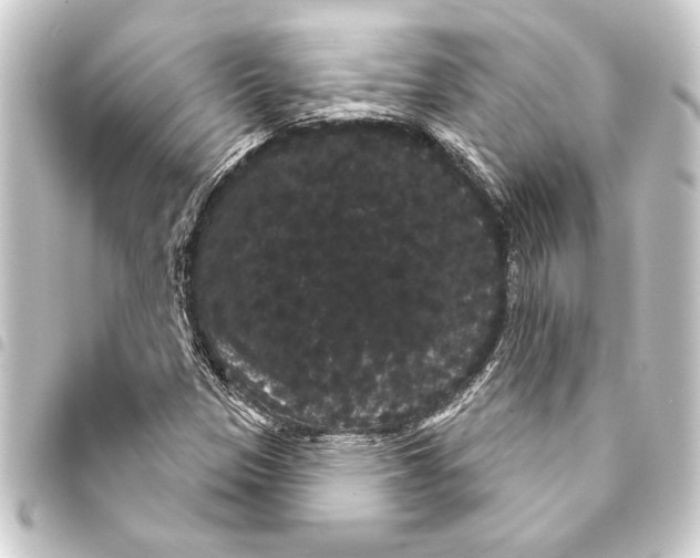 X0000093401305200711020927