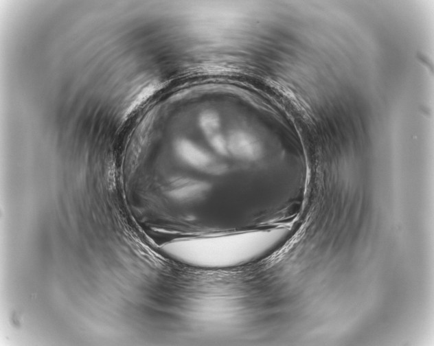 X0000093401306200711020927