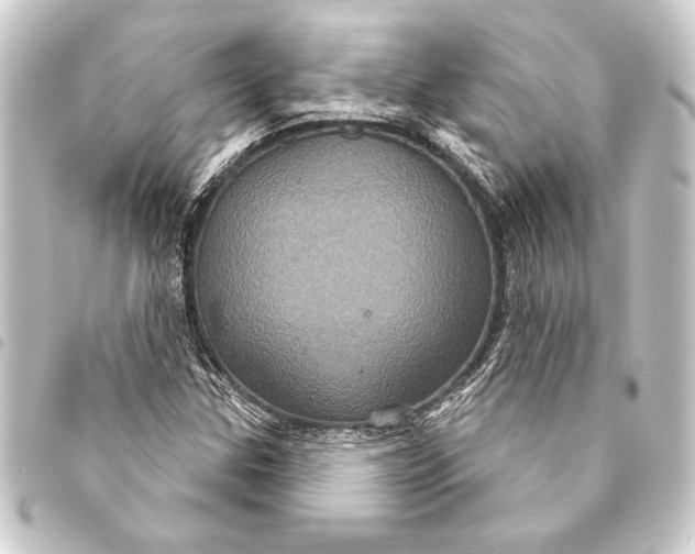 X0000093401307200711020927