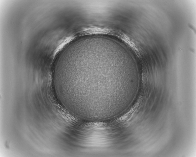 X0000093401309200711020927