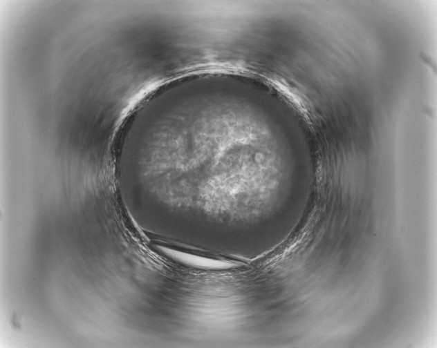 X0000093401310200711020927