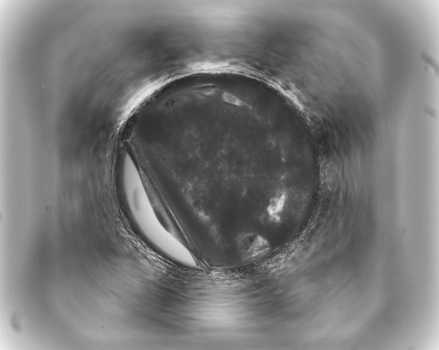 X0000093401311200711020927