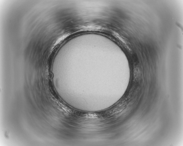 X0000093401315200711020927