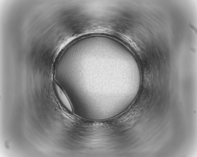 X0000093401316200711020927