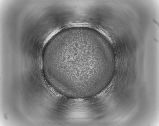 X0000093401317200711020927