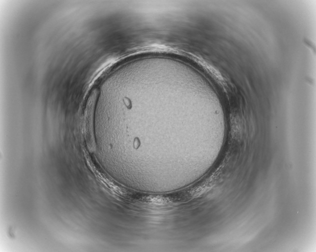 X0000093401318200711020927