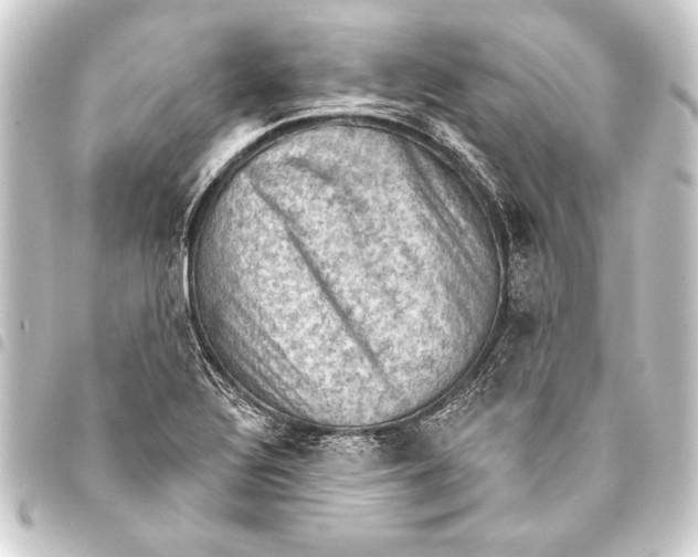 X0000093401320200711020927