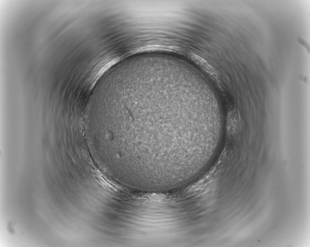 X0000093401321200711020927