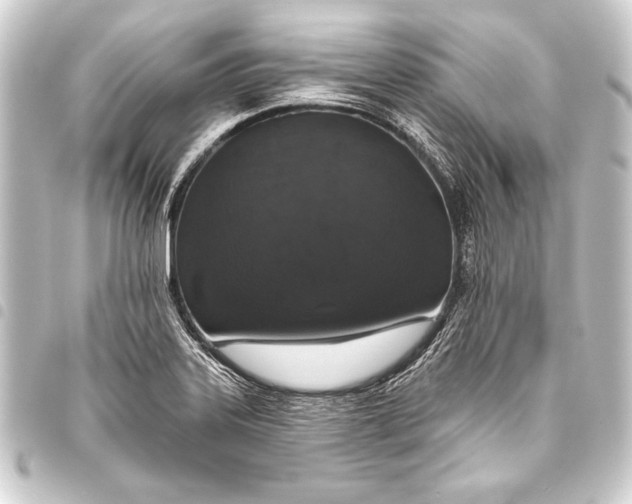 X0000093401323200711020927