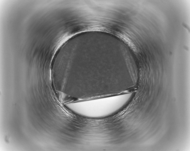 X0000093401324200711020927