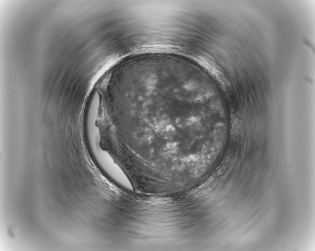 X0000093401325200711020927