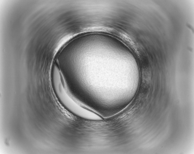 X0000093401328200711020927