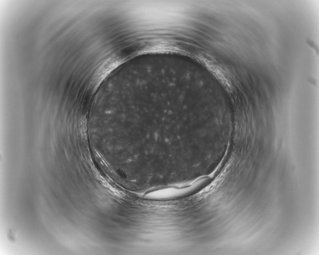 X0000093401329200711020927