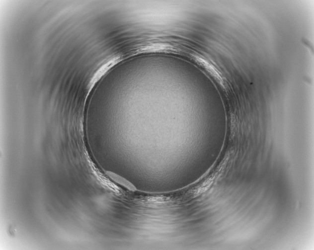 X0000093401330200711020927