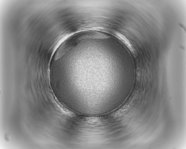 X0000093401332200711020927