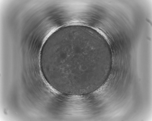 X0000093401333200711020927