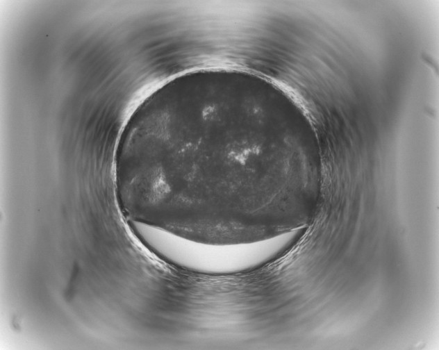 X0000093401335200711020927