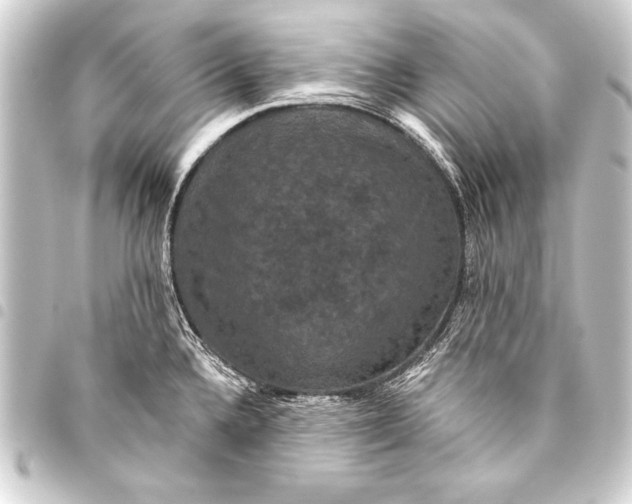 X0000093401336200711020927