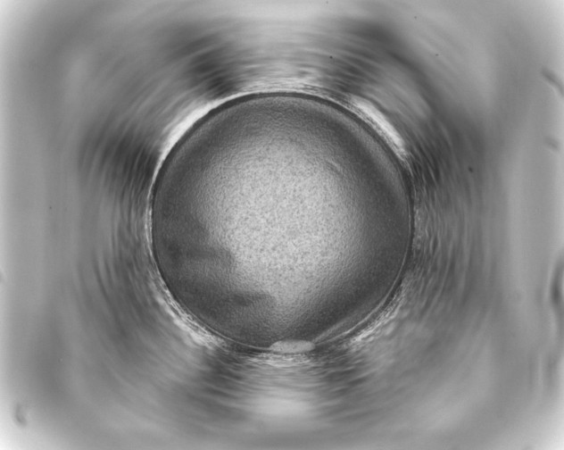 X0000093401340200711020927