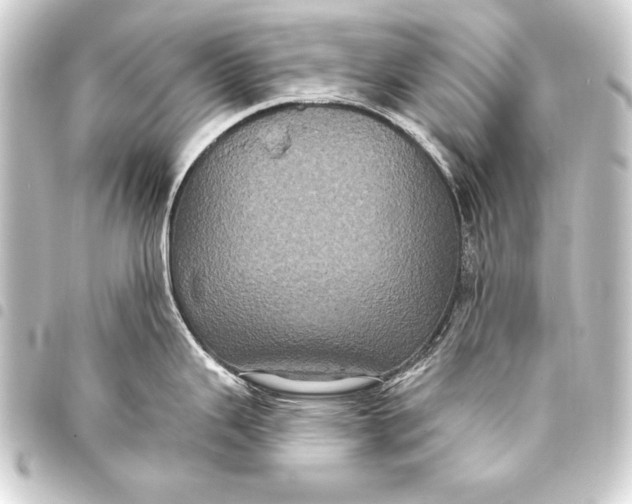 X0000093401343200711020927