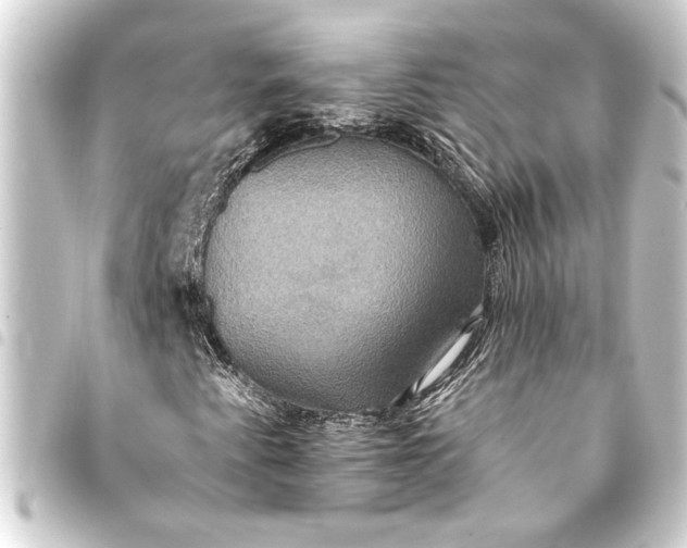 X0000093401345200711020927