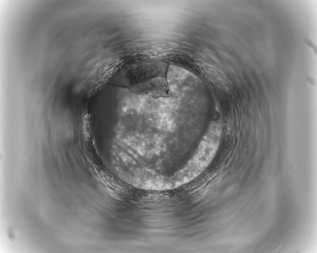 X0000093401346200711020926