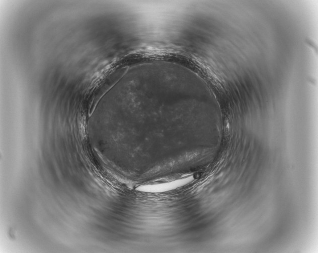 X0000093401348200711020926