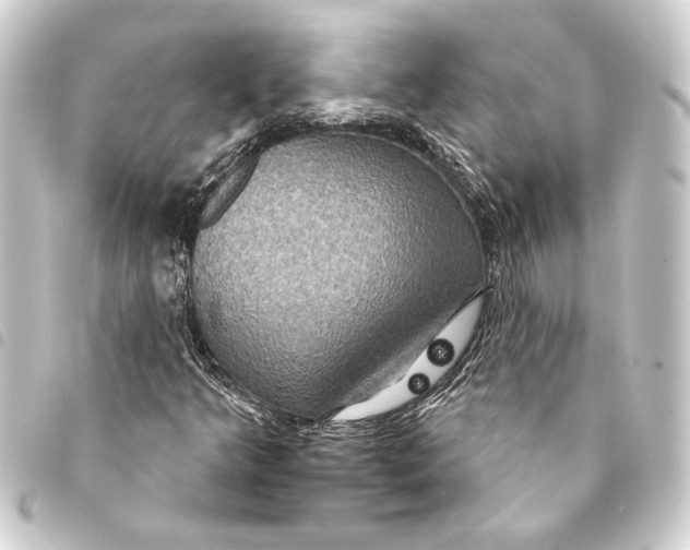 X0000093401349200711020926