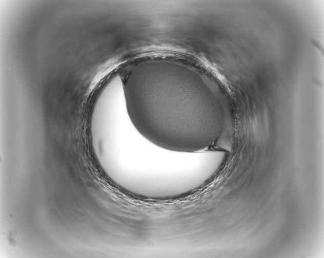 X0000093401352200711020926