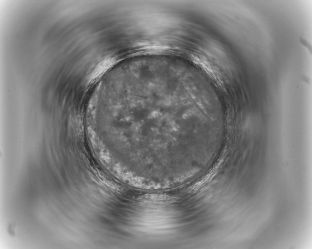 X0000093401354200711020926