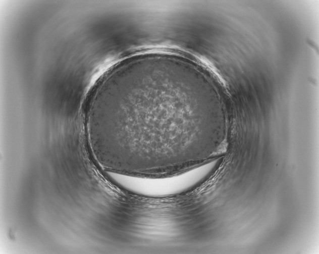 X0000093401360200711020926