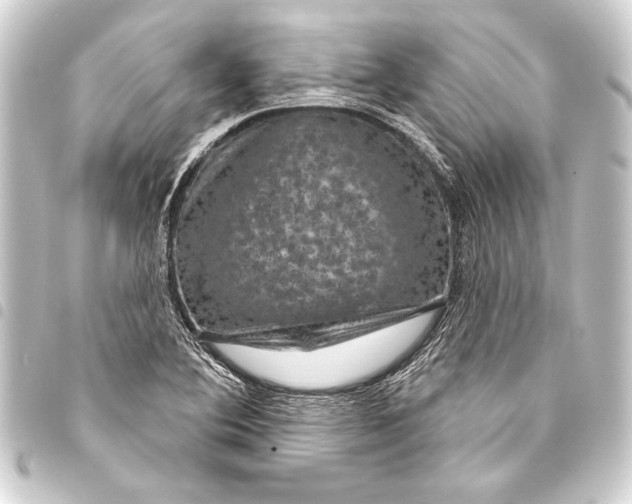 X0000093401364200711020926