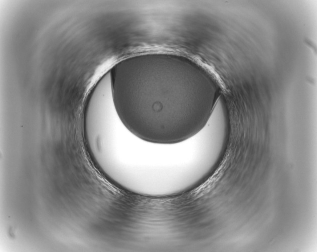 X0000093401365200711020926