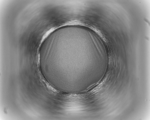 X0000093401366200711020926